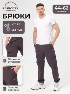 Спортивные брюки мужские CosmoTex 231424 серые 104-108/182-188