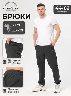 Спортивные брюки мужские CosmoTex Лето 231424 черные 112-116/170-176