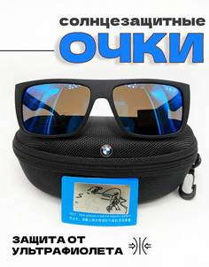 Солнцезащитные очки мужские BMW ОБГС-003 черные