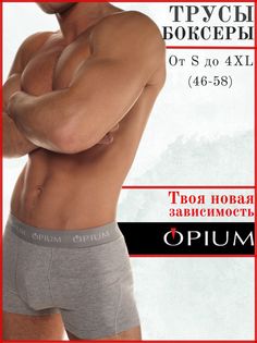 Трусы мужские Opium R07 серые XXXL