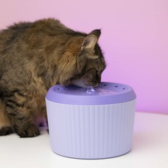 Автоматическая поилка для кошек и собак с подсветкой, фиолетовая, пластик, объем 3 л No Brand