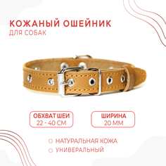 Ошейник для собак, бежевый, натуральная кожа, обхват шеи 22-40 см No Brand