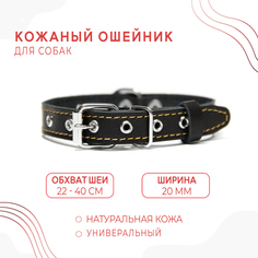 Ошейник для собак, черный, кожа, металл, обхват шеи 22-40 см No Brand