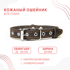 Ошейник для собак, коричневый, натуральная кожа, обхват шеи 22-40 см No Brand