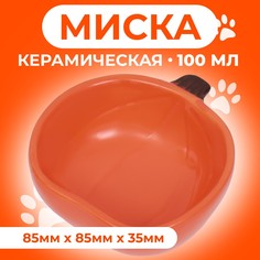 Миска для грызунов Пижон Тыква, оранжевый, керамика, 10 х 10 х 4,3 см
