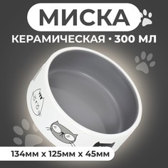 Миска для кошек Пижон Четыре кота, серая, керамика, 300 мл, 12,5 x 4,5 cм