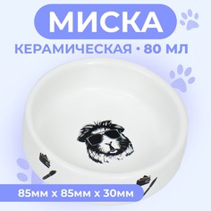 Миска для грызунов Пижон, с принтом, белая, керамика, 80 мл, 8,5 х 3 см
