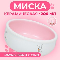 Миска для кроликов Пижон, розовая, керамика, 200 мл 10 х 3,7 см