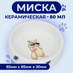Миска для грызунов Пижон На стиле, белая, керамика, 80 мл, 8,5 х 3 см