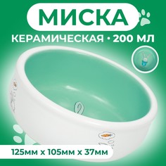 Миска для кроликов Пижон, зеленая, керамика, 200 мл, 10 х 3,7 см