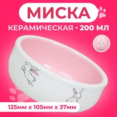 Миска для кроликов Пижон с принтом, розовая, керамика, 200 мл, 10 х 3,7 см