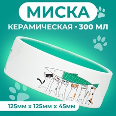 Миска для кошек Пижон, Любовь и коты, зеленая, керамика, 300 мл, 12,5 x 4,5 cм