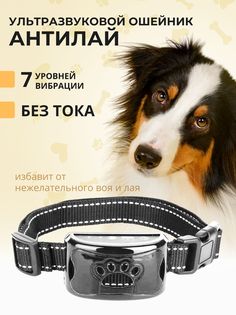 Ошейник-антилай для собак ультразвуковой, серый, пластик, нейлон, обхват шеи 22 - 60 см No Brand