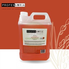 Шампунь для объема Professoria Volumizing 1:10 , 5 л