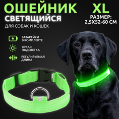 Ошейник светящийся для собак AT светодиодный зеленого, XL - 2,5х52-60 см