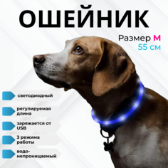 Ошейник для собак ZDK Walk со светодиодами, синий, силикон, 55 см