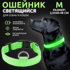 Ошейник светящийся для собак AT светодиодный зеленого, M - 2,5х40-48 см