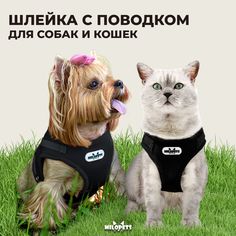 Шлейка и поводок для собак и кошек Milopets Terry, черный, полиэстер 35-39 см, 1,2 м