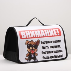 Сумка - переноска для животных Пижон, белая, текстиль, 45 х 25 х 30 см