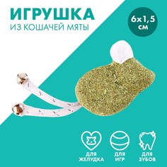 Игрушка для кошек «Мышка» из кошачьей мяты, 6 х 1,5 см Пушистое счастье