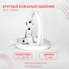 Ошейник для собак малых пород, белый, натуральная кожа, обхват шеи 24-29 No Brand