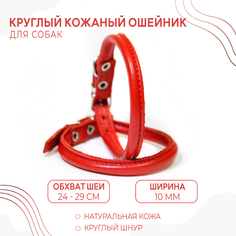 Ошейник для собак малых пород, красный, натуральная кожа, обхват шеи 24-29 см No Brand