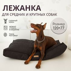 Лежанка-матрас для собак средних и крупных пород, черный, рогожка, синтепух, 120х77 см No Brand