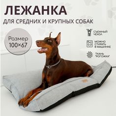 Лежанка для собак средних и крупных пород, светло-серый, рогожка, синтепух, 100х67см No Brand