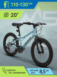 Велосипед Maxiscoo 5BIKE 20" L 2024 MSC-M5-2004