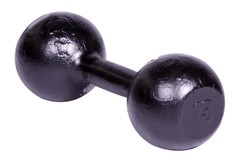 Неразборная гантель Titan Литая 1 x 13 кг, черный