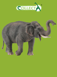 Фигурка животного Collecta, Азиатский слон