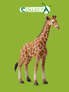 Фигурка животного Collecta, Жеребенок сетчатого жирафа