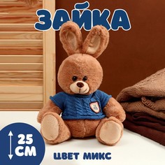 Мягкая игрушка «Зайка», в свитере, 25 см, цвет МИКС No Brand