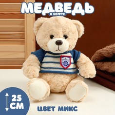 Мягкая игрушка «Медведь» в полосатой кофте, 25 см, цвет МИКС No Brand