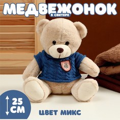 Мягкая игрушка «Медвежонок» в свитере, 25 см, цвет МИКС No Brand