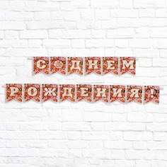 Гирлянда "С Днем Рождения!" голубой фон, 300 см No Brand