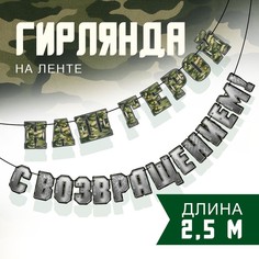 Гирлянда на ленте "С возвращением наш герой", 250 см Страна Карнавалия