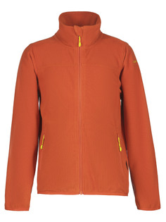 Толстовка детская Icepeak 51885_465, Dark Orange, 116