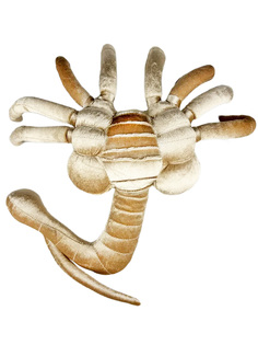 Мягкая игрушка Чужой Лицехват Alien Facehugger (70 см) No Brand