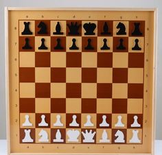 Шахматы и шашки Десятое Королевство демонстрационные 03903