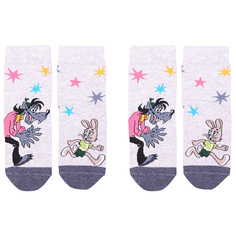 Носки детские Брестский чулочный комбинат 2-23С3053, 4042, светло-серые меланж, 20