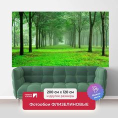 Фотообои флизелиновые ПЕРВОЕ АТЕЛЬЕ "Утренний лес" 200х120 (ШхВ)