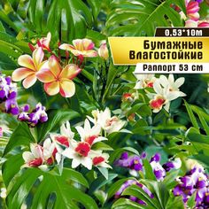Обои бумажные "Малибу1" 0,53*10м Саратовская обойная фабрика