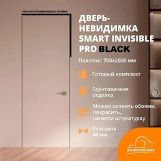 Дверь скрытого монтажа Belwooddoors 700x2000 в комплекте коробка магнитная защелка петли