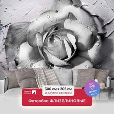 Фотообои флизелиновые Первое Ателье "Черно-белая роза" 300х205 см