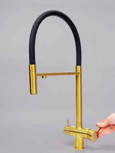 Смеситель для кухни с гибким изливом и подключением фильтра Bronks 1002 Gold