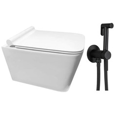 Унитаз Cerutti Maiella aria B-2370-3 + смеситель Frap F7505-6