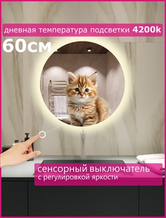 Зеркало с дневной (4200К) подсветкой Alfa Mirrors круглое, 60см. GNa-6d