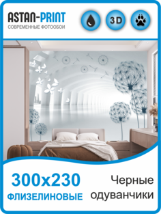 Флизелиновые фотообои 3D Astan Черные одуванчики 300х230