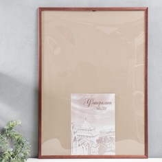 Фоторамка сосна с14 01/6 50х70 см, венге (пластиковый экран) No Brand